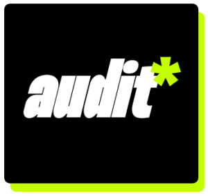 Audit SEO